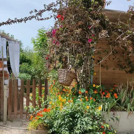 Διαμέρισμα La Jovine Sur Les Hauteurs De T2 Classe Κασί